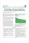 2018 Update on Prisoner Recidivism: A 9-Year Follow-up Period (2005-2014) Cover