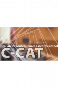Collateral Consequences Assessment Tool landing page