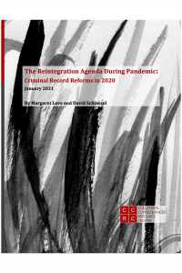 The Reintegration Agenda During Pandemic report cover
